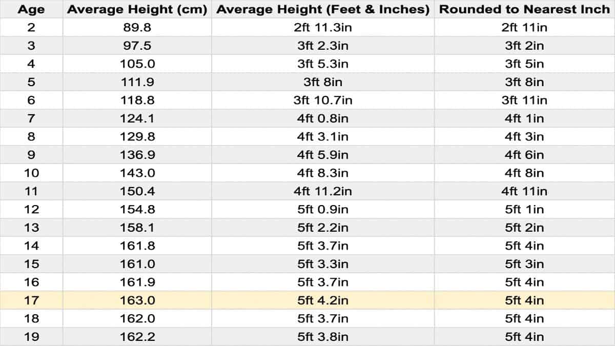 The Average Height For 17 Year Old Males And Females