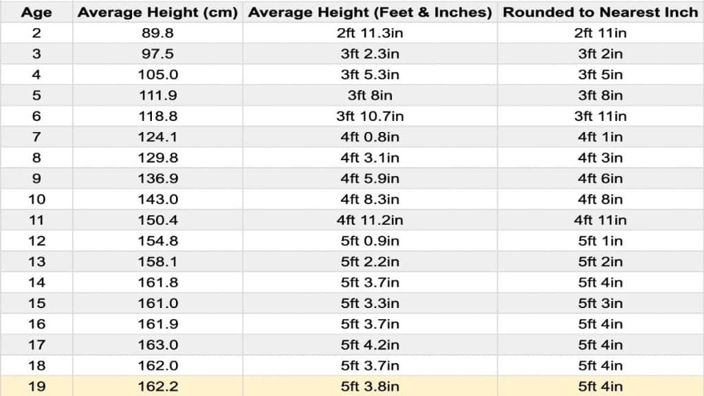 A chart displaying the average height for a 19 year old female in feet