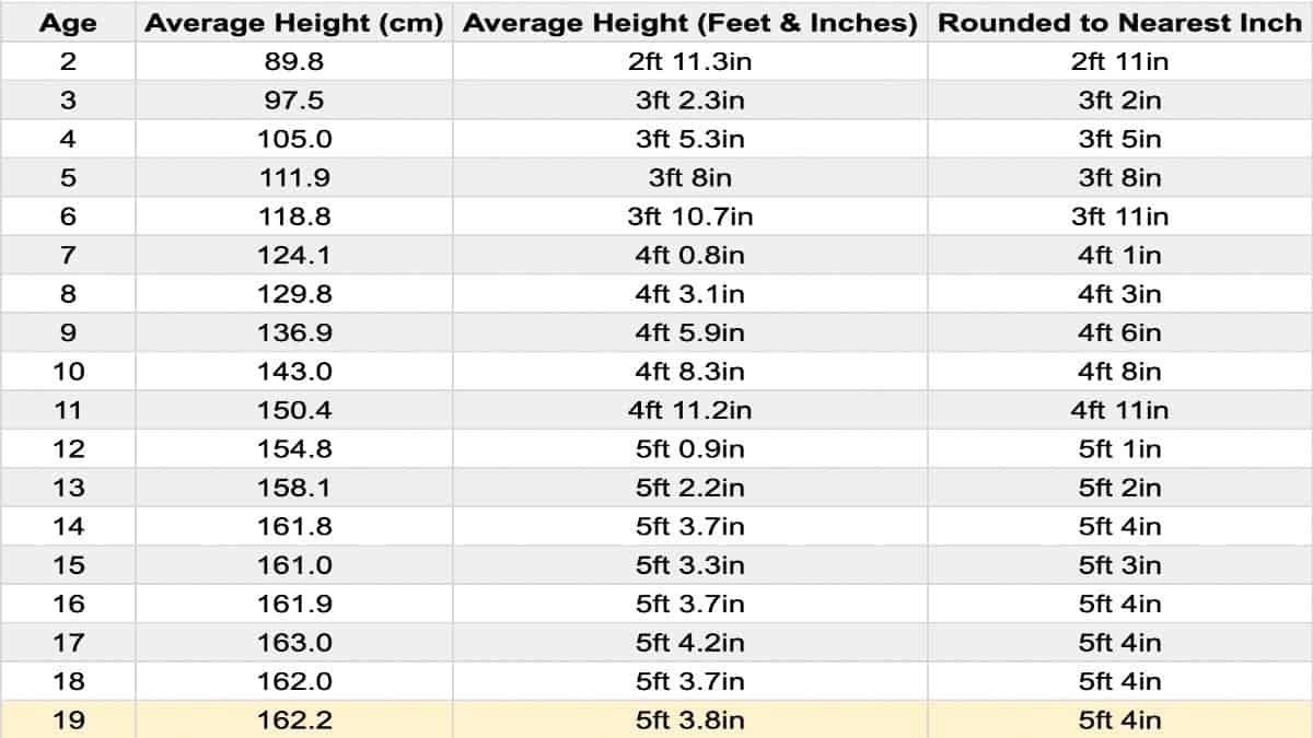 the-average-height-for-19-year-olds-males-and-females