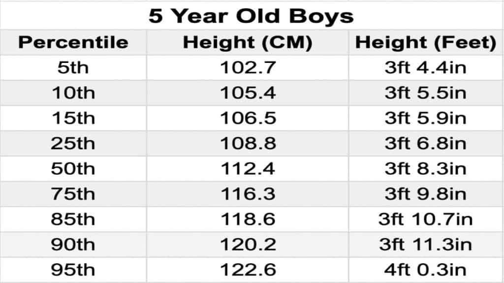 A chart showing the average height of a 5 year old boy in feet