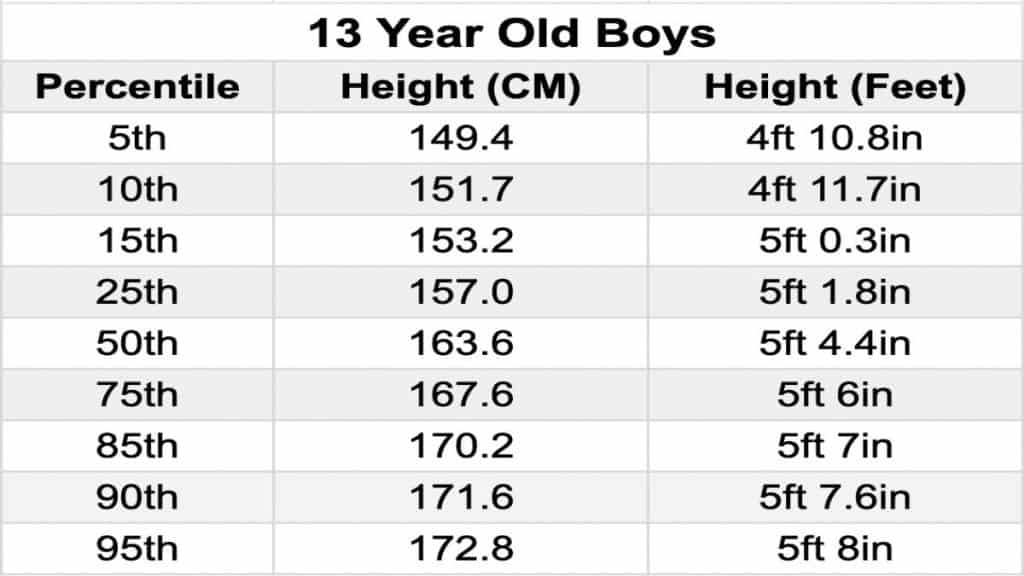 A chart displaying the average height of a 13 year old boy in feet