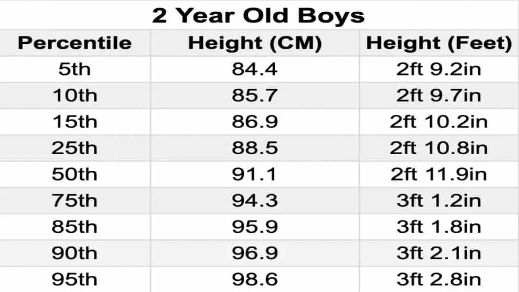 A chart displaying the average 2 year old height for males