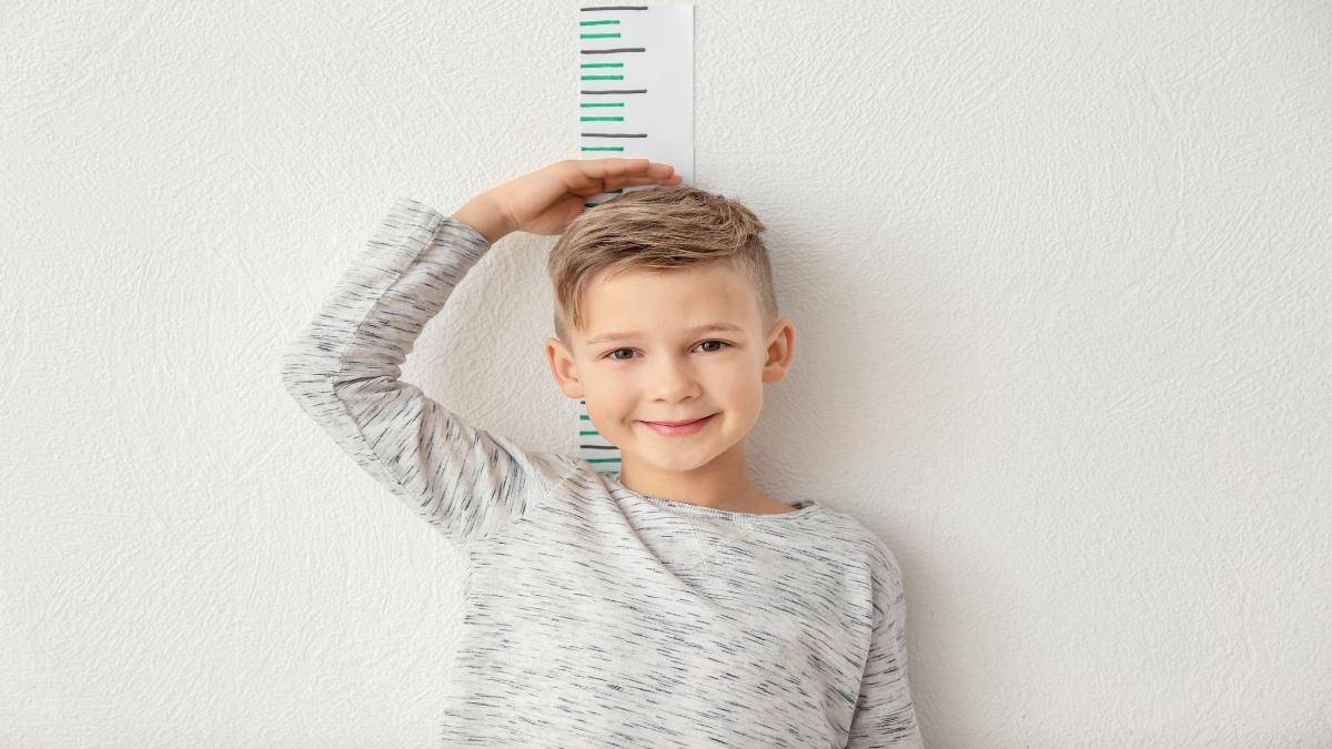 What is the average height and weight of a 3rd grader?