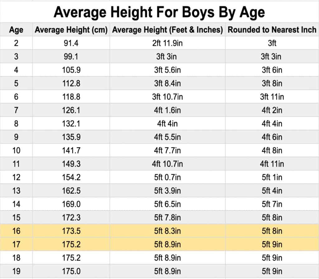 A chart displaying the average height for an 11th grade boy