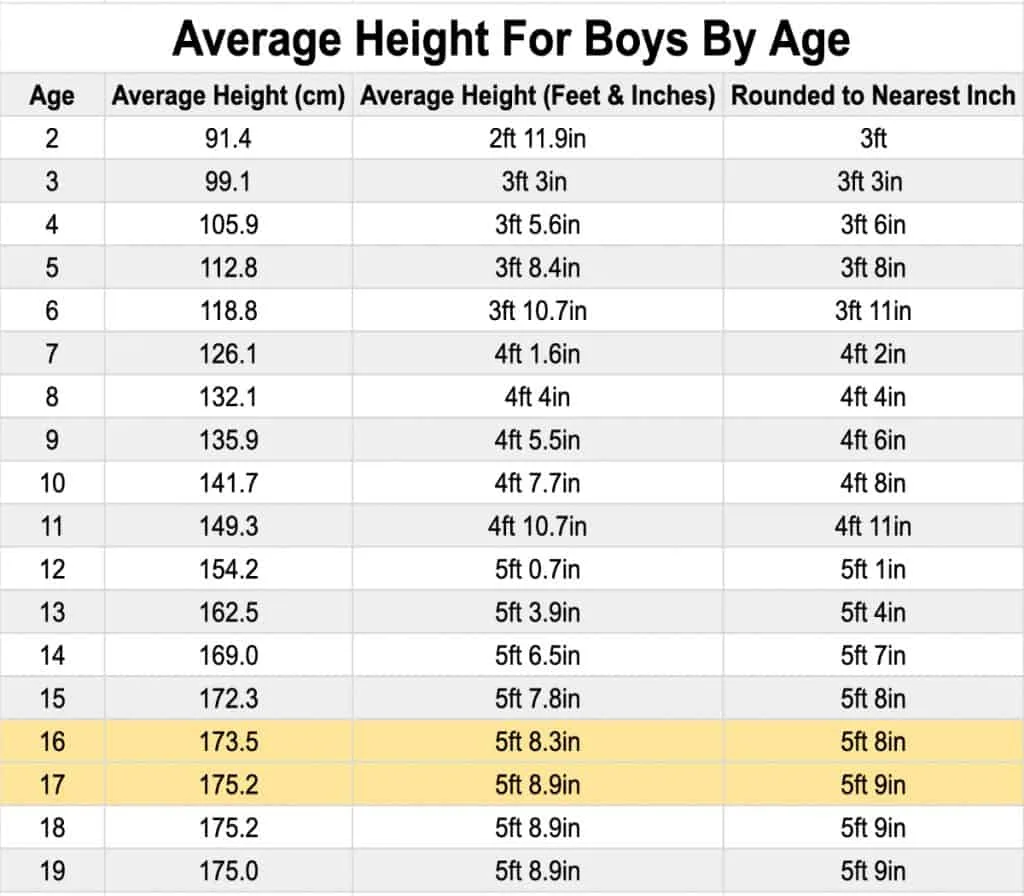 A chart displaying the average height for an 11th grade boy