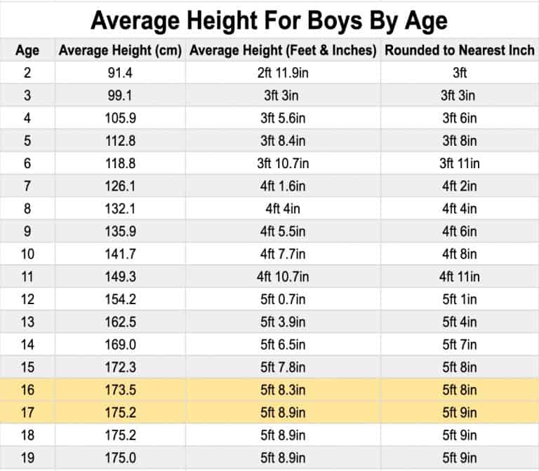 the-average-11th-grader-height-and-weight-for-boys-and-girls