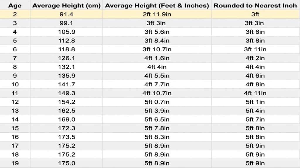 A chart showing the average height for a 2 year old boy