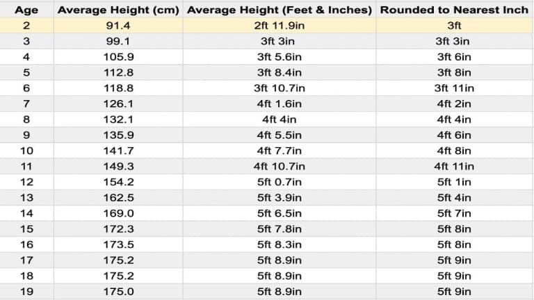 How Tall Are 2 Year Olds, And How Much Do They Weigh?