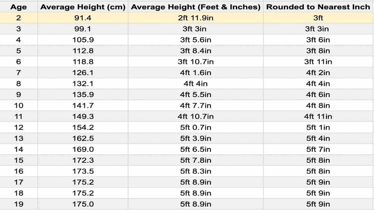 How Tall Should A 2 Year Old Boy Be at Larry Mann blog