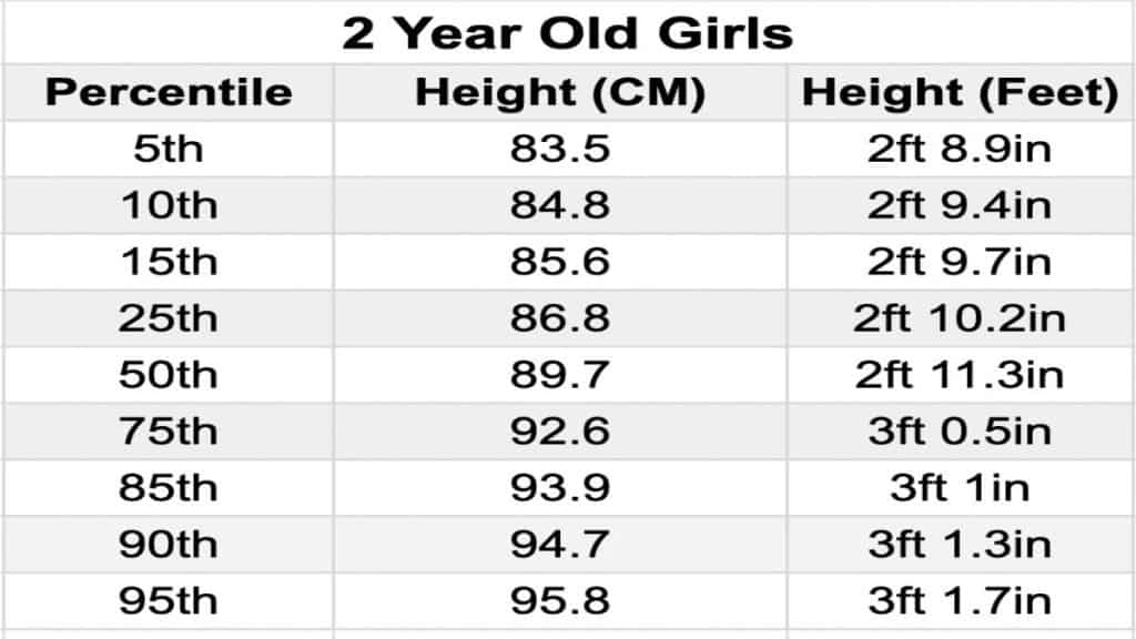 A chart showing the average height for a 2 year old female