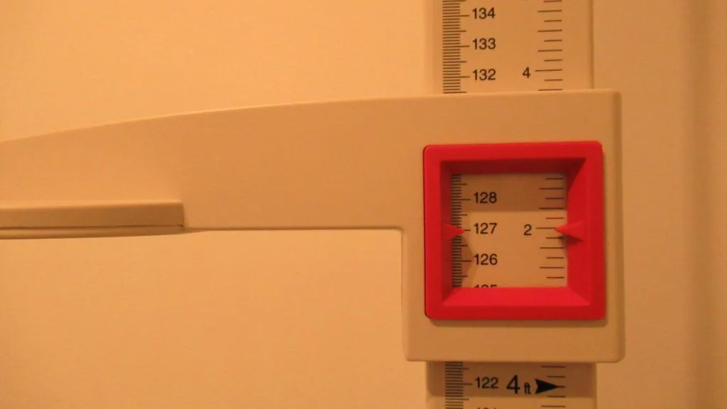 A stadiometer displaying the height 4 feet 2 inches