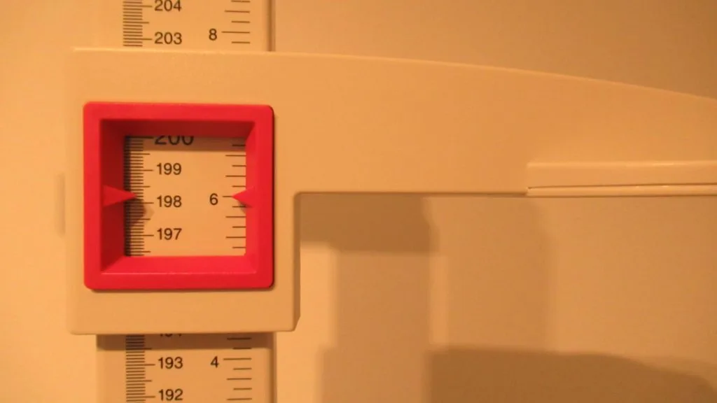 A stadiometer displaying the height 6 feet 6 inches