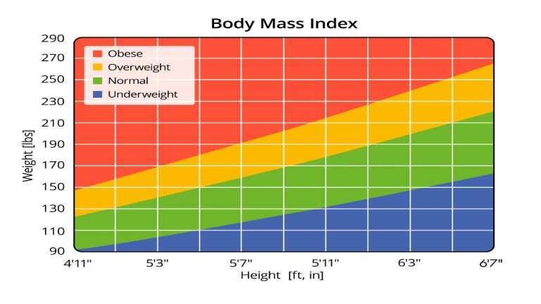 The Average BMI for Women and Men Is Not a Normal BMI